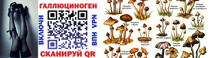 Галлюциногенные грибы MAGIC MUSHROOMS  Купить где  Калач-на-Дону 