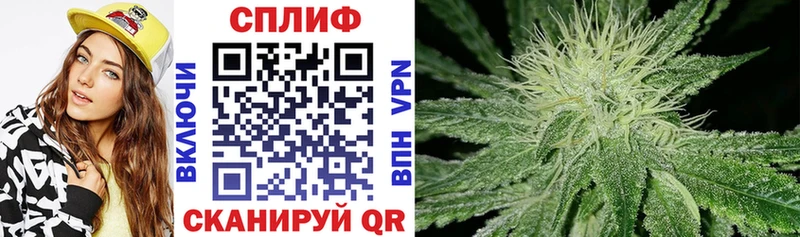 Купить где  Калач-на-Дону  Канабис планчик 
